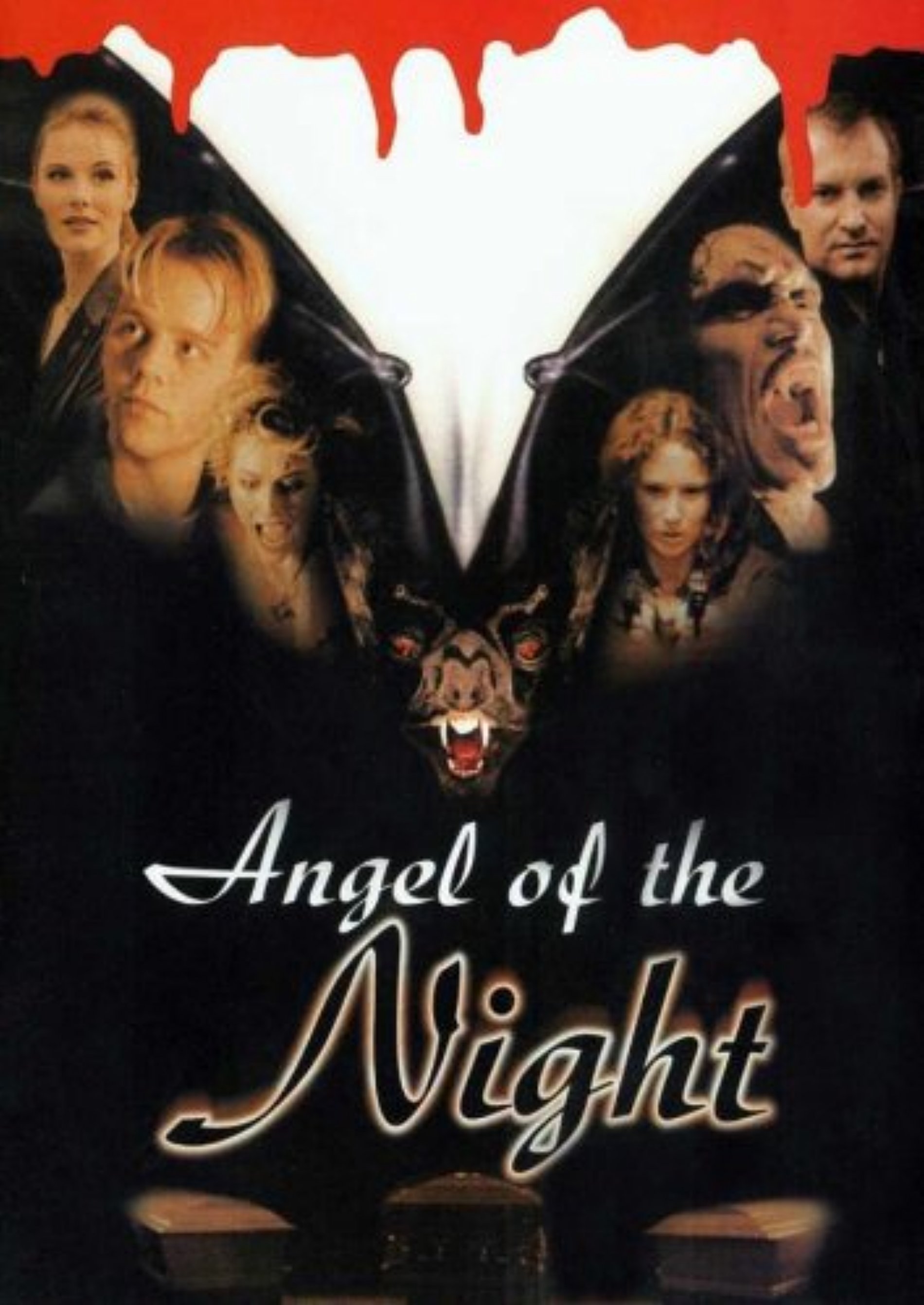 Angel of the Night (1998) movie poster download