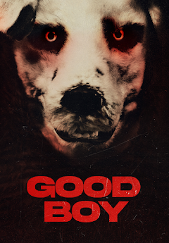 Good Boy (2022) movie poster download