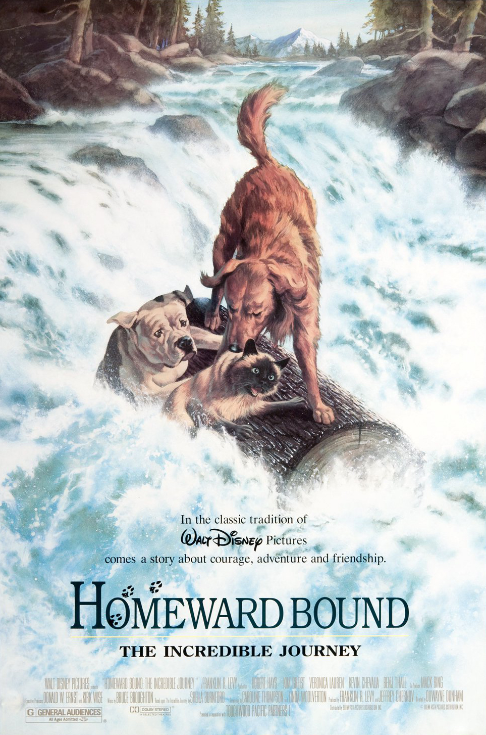 Homeward Bound The Incredible Journey (1993) movie poster download